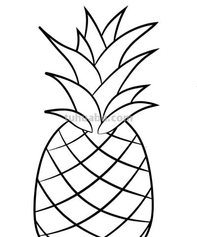 22张水果简笔画手绘线稿 - 图画吧TUHUABA