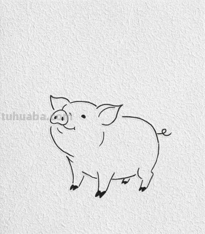 可爱的小猪简笔画教程 - 今日头条