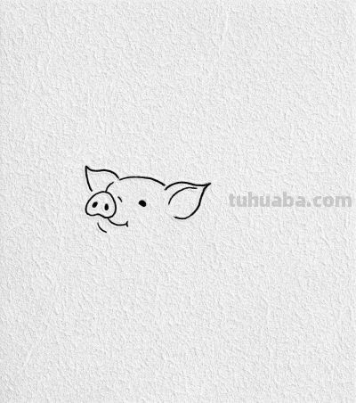 可爱的小猪简笔画教程 - 图画吧TUHUABA