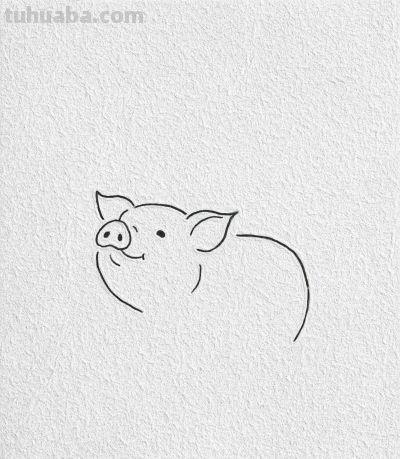 可爱的小猪简笔画教程 - 图画吧TUHUABA