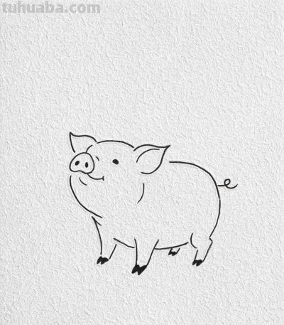 可爱的小猪简笔画教程 - 图画吧TUHUABA