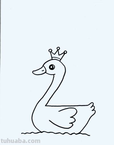 简笔画每日更新之天鹅 - 图画吧TUHUABA