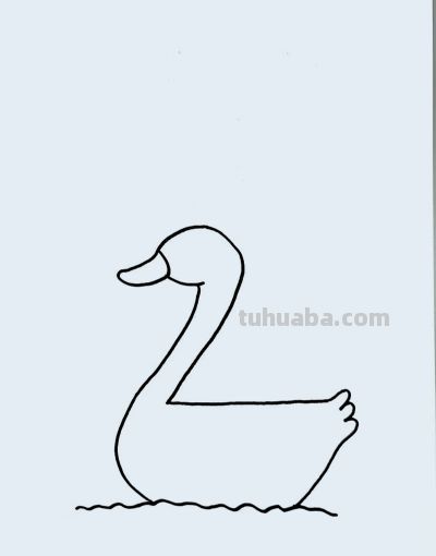 简笔画每日更新之天鹅 - 图画吧TUHUABA