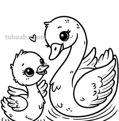 白天鹅的简笔画线稿图，临摹学画 - 图画吧TUHUABA