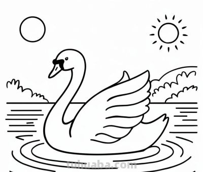 白天鹅的简笔画线稿图，临摹学画 - 图画吧TUHUABA