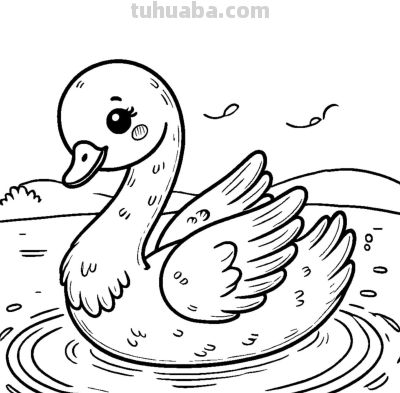 白天鹅的简笔画线稿图，临摹学画 - 图画吧TUHUABA