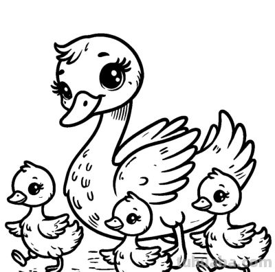 白天鹅的简笔画线稿图，临摹学画 - 图画吧TUHUABA