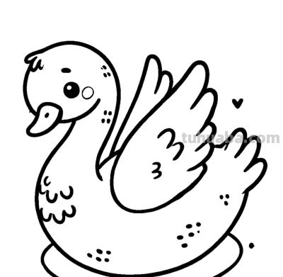 白天鹅的简笔画线稿图，临摹学画 - 图画吧TUHUABA