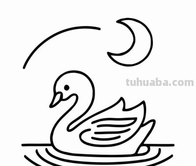 白天鹅的简笔画线稿图，临摹学画 - 图画吧TUHUABA
