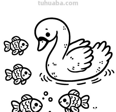 白天鹅的简笔画线稿图，临摹学画 - 图画吧TUHUABA