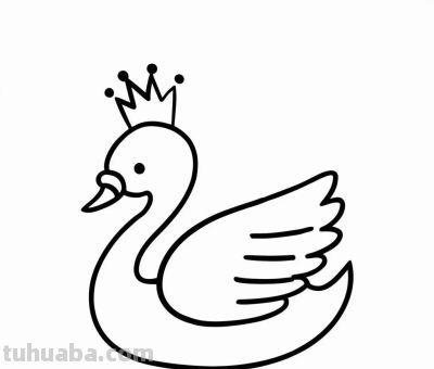 白天鹅的简笔画线稿图，临摹学画 - 图画吧TUHUABA