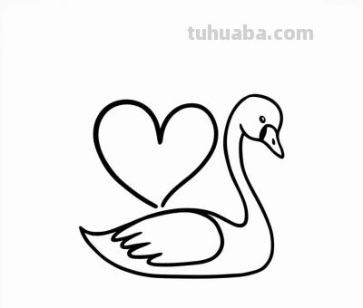 白天鹅的简笔画线稿图，临摹学画 - 图画吧TUHUABA