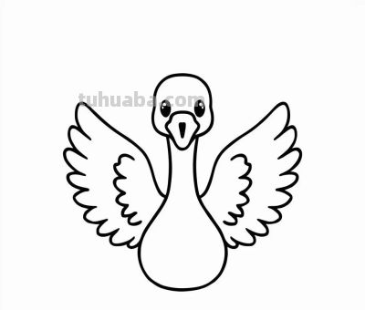 白天鹅的简笔画线稿图，临摹学画 - 图画吧TUHUABA