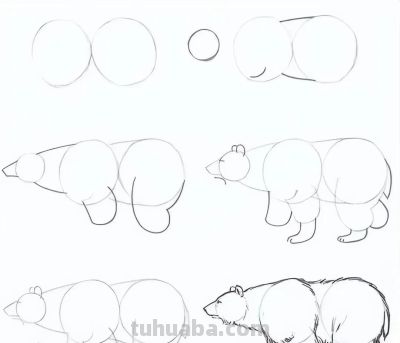 20种动物的简笔画教程，有手就能画 - 图画吧TUHUABA