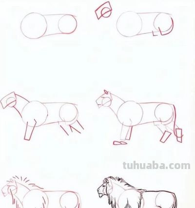 20种动物的简笔画教程，有手就能画 - 图画吧TUHUABA