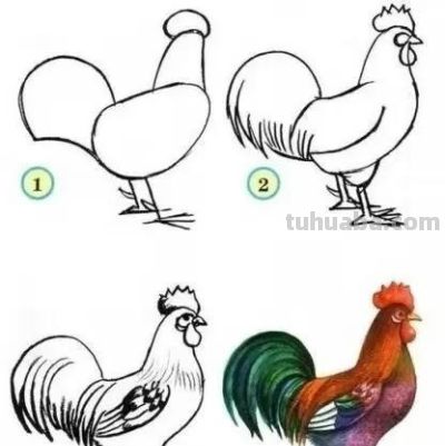 20种动物的简笔画教程，有手就能画 - 图画吧TUHUABA