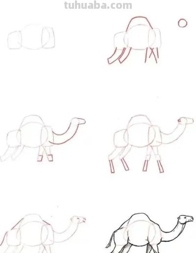 20种动物的简笔画教程，有手就能画 - 图画吧TUHUABA