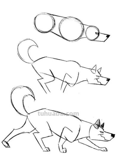 20种动物的简笔画教程，有手就能画 - 图画吧TUHUABA