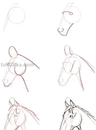 20种动物的简笔画教程，有手就能画 - 图画吧TUHUABA