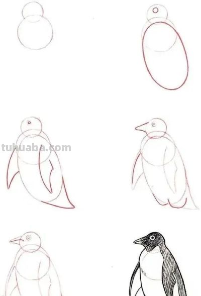 20种动物的简笔画教程，有手就能画 - 图画吧TUHUABA