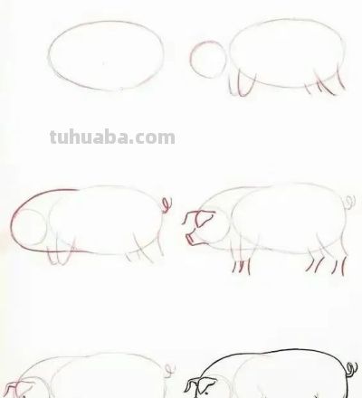 20种动物的简笔画教程，有手就能画 - 图画吧TUHUABA
