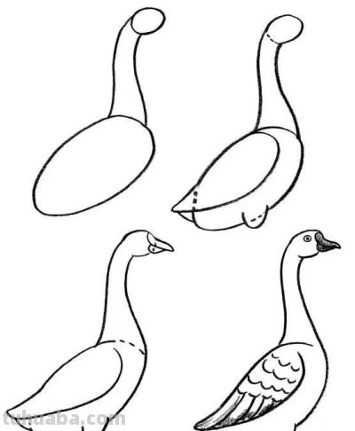 20种动物的简笔画教程，有手就能画 - 图画吧TUHUABA