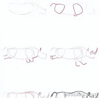 20种动物的简笔画教程，有手就能画 - 图画吧TUHUABA