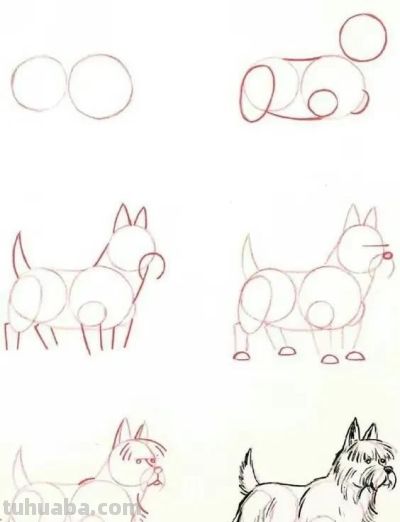 20种动物的简笔画教程，有手就能画 - 图画吧TUHUABA