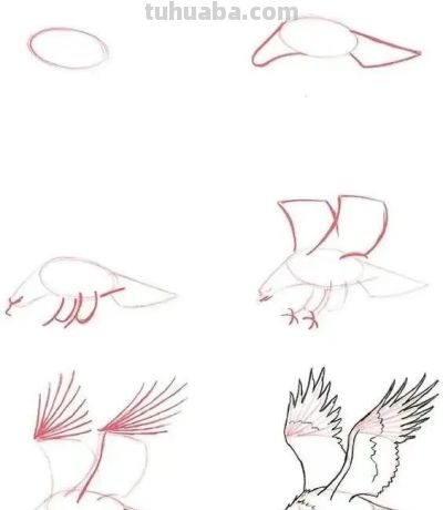 20种动物的简笔画教程，有手就能画 - 图画吧TUHUABA