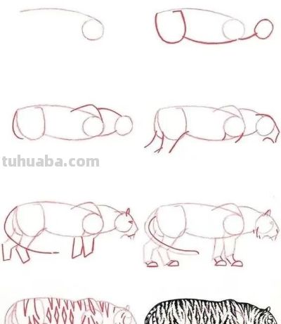 20种动物的简笔画教程，有手就能画 - 图画吧TUHUABA