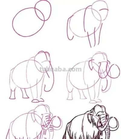 20种动物的简笔画教程，有手就能画 - 图画吧TUHUABA