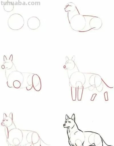 20种动物的简笔画教程，有手就能画 - 图画吧TUHUABA