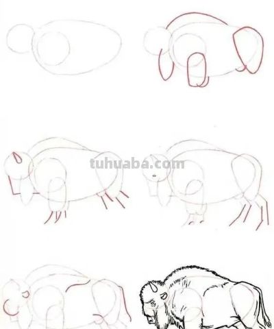 20种动物的简笔画教程，有手就能画 - 图画吧TUHUABA