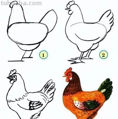 20种动物的简笔画教程，有手就能画 - 图画吧TUHUABA