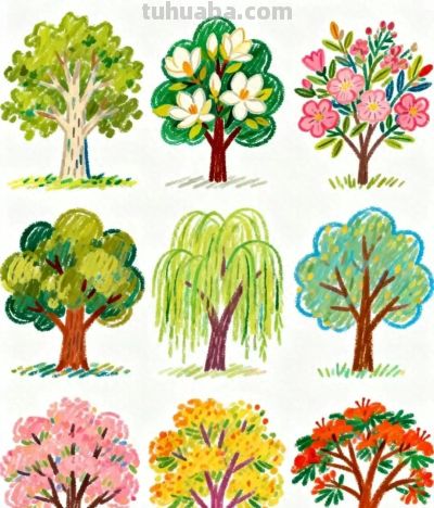 简笔画 四季的树 - 今日头条