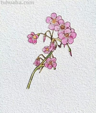 简笔画|浪漫藏于日常中 - 今日头条 简笔画|浪漫藏于日常中 - 图画吧TUHUABA