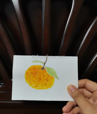 40 橘子（绘画 水彩 果花甘06） - 图画吧TUHUABA