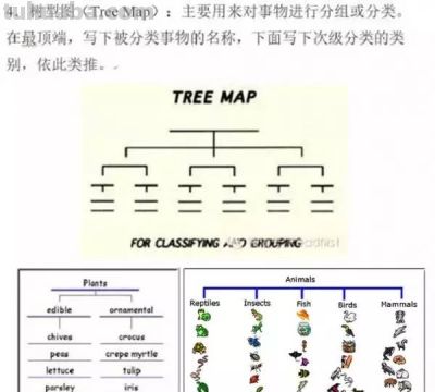 最常见的八种思维导图，老师经常用，学生进步快！ | 好老师 - 图画吧TUHUABA