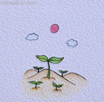 简笔彩铅画 - 图画吧TUHUABA