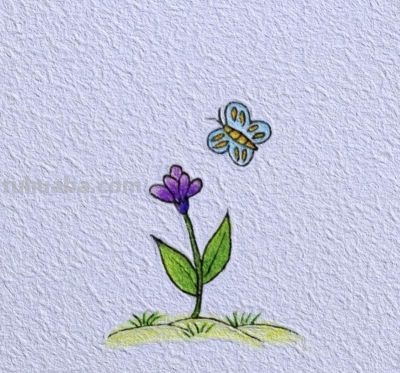 简笔彩铅画 - 图画吧TUHUABA