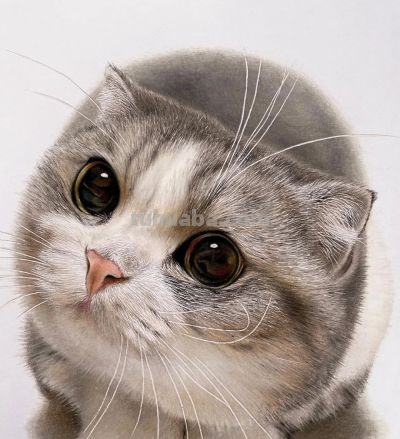 一幅彩铅画耗费50个小时，看到完整作品后，每个人都说值 - 今日头条