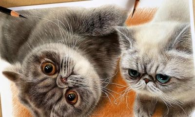 一幅彩铅画耗费50个小时，看到完整作品后，每个人都说值 - 图画吧TUHUABA