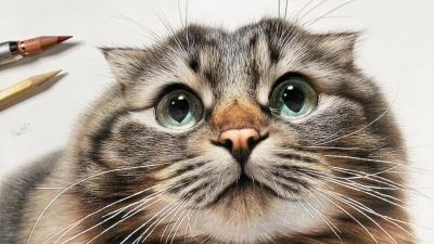 一幅彩铅画耗费50个小时，看到完整作品后，每个人都说值 - 图画吧TUHUABA