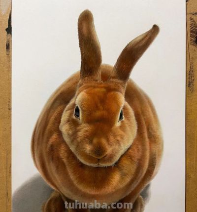 一幅彩铅画耗费50个小时，看到完整作品后，每个人都说值 - 图画吧TUHUABA