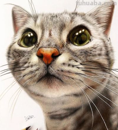 一幅彩铅画耗费50个小时，看到完整作品后，每个人都说值 - 图画吧TUHUABA