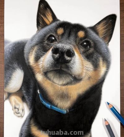 一幅彩铅画耗费50个小时，看到完整作品后，每个人都说值 - 图画吧TUHUABA