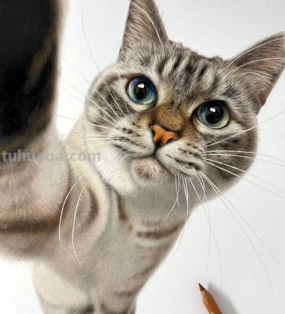 一幅彩铅画耗费50个小时，看到完整作品后，每个人都说值 - 图画吧TUHUABA