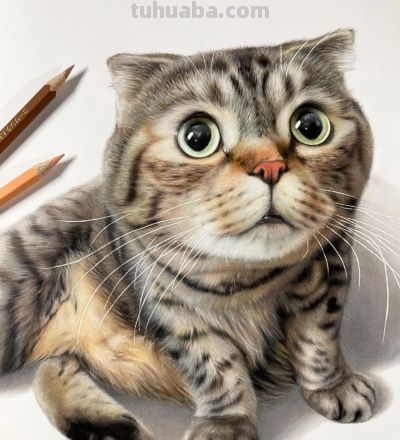 一幅彩铅画耗费50个小时，看到完整作品后，每个人都说值 - 图画吧TUHUABA