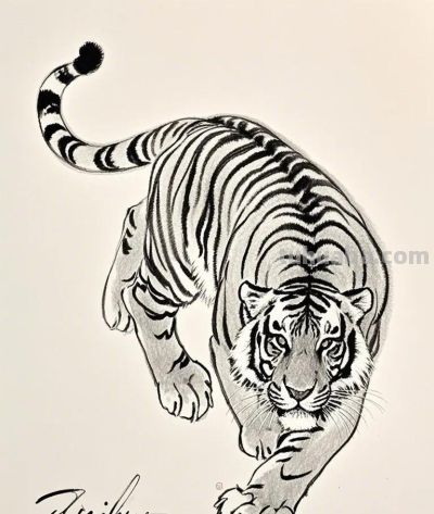 素描速写｜笔触定格动物灵韵，主页解锁更多绘画魅力 - 图画吧TUHUABA