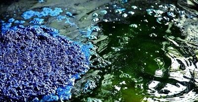 青的色彩文化史 - 图画吧TUHUABA